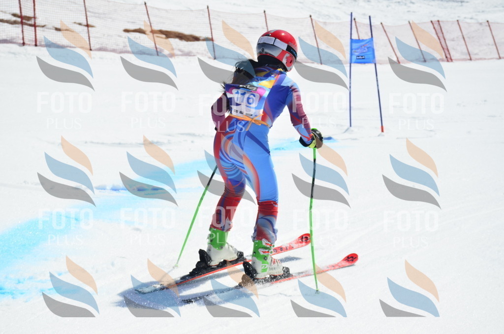 _ELE0698 | holidayphoto