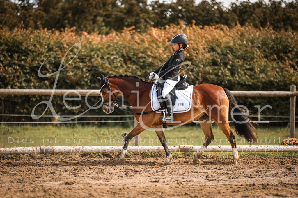 02.SoDrWB00305 | Leoni Ertmer Photography - Realisiert mit Pictrs.com