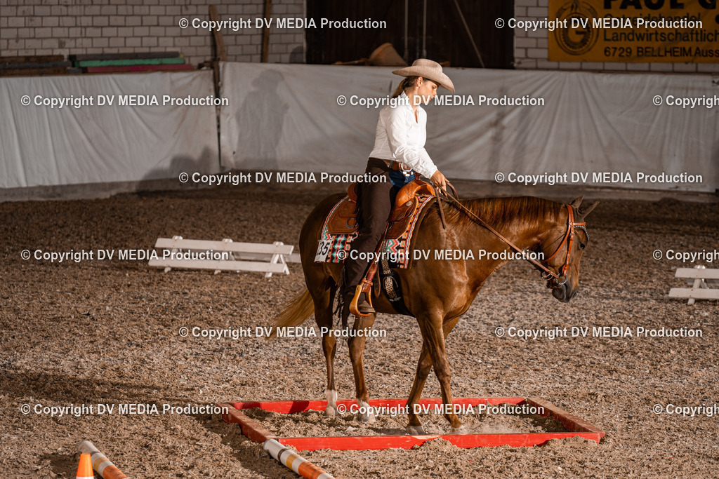 ZH200556 | dv-media-shop - Realisiert mit Pictrs.com