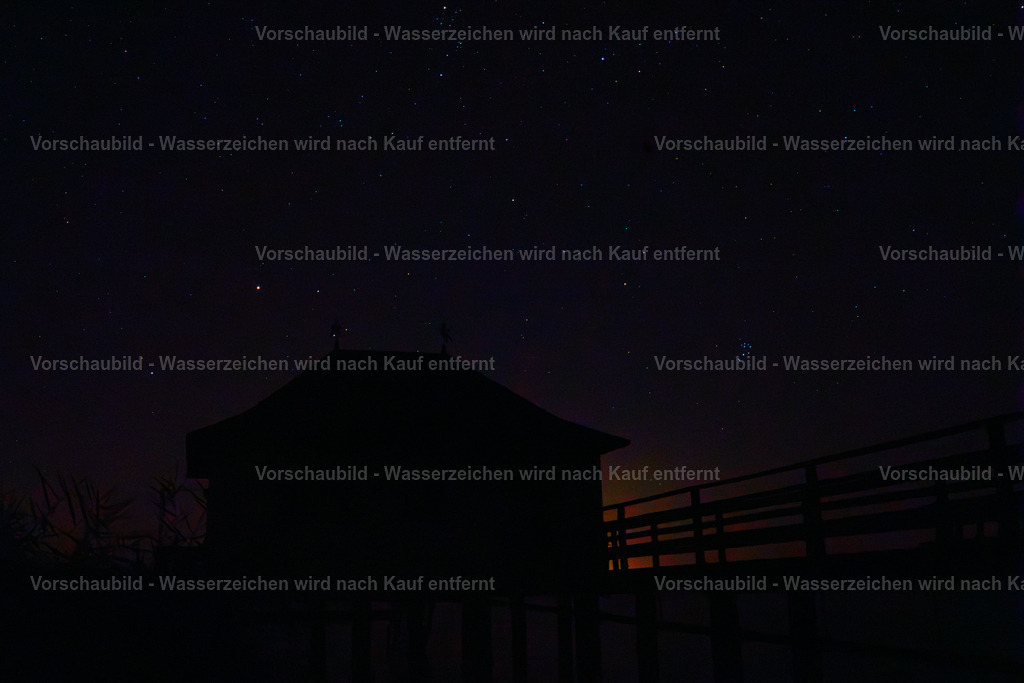 DSC04064-Enhanced-NR-2 | marcuslinek