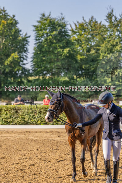 15.8.25 D1 RPF 3j (148 von 255) | mandyhollmannphotographie