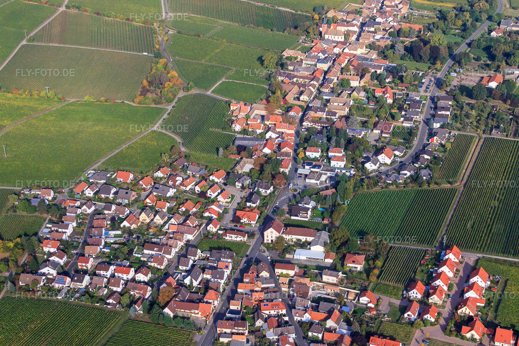Luftbild: Weinstraße in Forst an der Weinstraße im Bundesland Rheinland-Pfalz in Deutschland. Foto: IMG_21991.jpg vom 15.10.2009 durch Werner Riehm/FLY-FOTO.de