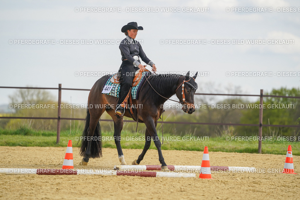 DSC05294 | Pferdegrafie