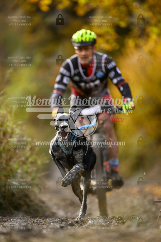 MompixPhotography_ICF_WC_2024_SA_Bike_-291 | PayLife