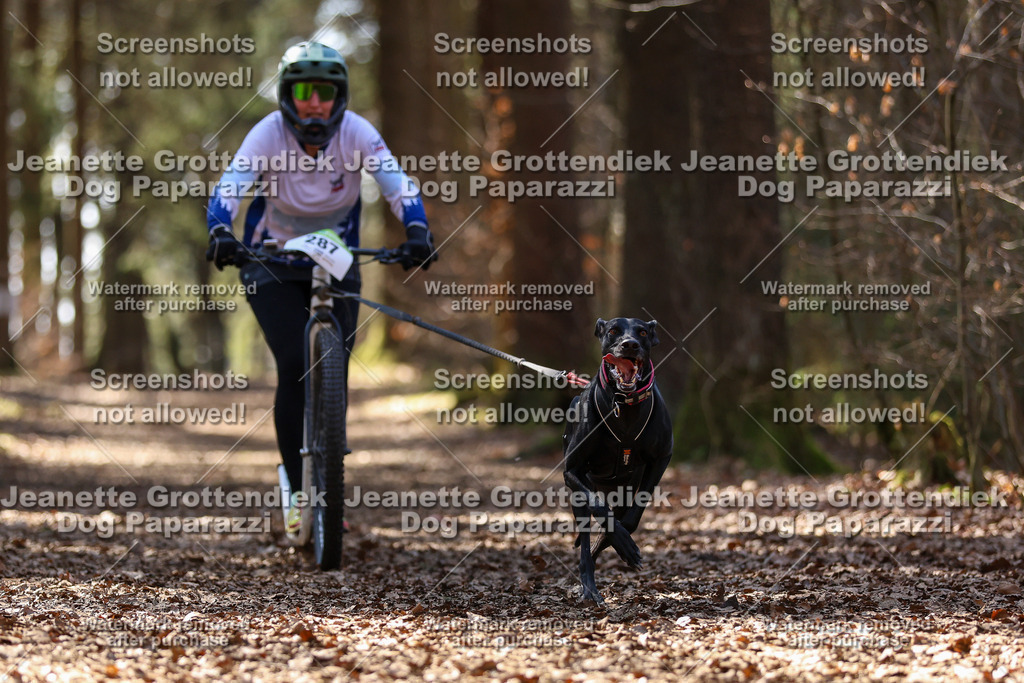 Dog Paparazzi - VCC26-1338 | Dog Paparazzi Jeanette Grottendiek Fotografie & Videografie - Realisiert mit Pictrs.com