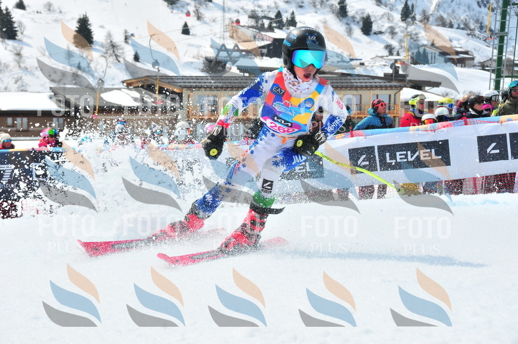 DSC_6263 | holidayphoto