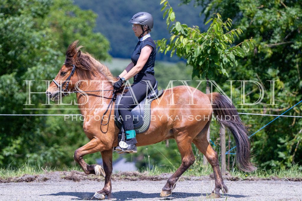 KAI04019 | Ihr sucht einen Fotografen für eure nächste OSI? Ich begleite auch euer Turnier für Islandpferde fotografisch.  - Realisiert mit Pictrs.com