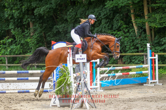 DKP45044 | Turnierfotos kaufen im Webshop von Daniel Kuhl Photography – entdecke professionelle Reitsportfotos aus Turnieren & Events. Hochwertige Turnierbilder online bestellen & sichern. Jetzt Fotos von Reitsportturnieren kaufen!