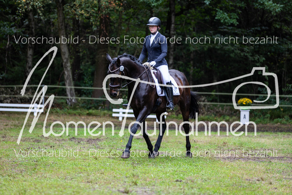 HB-A-Dressur-119 | MomenTaufnahmen Pferdesportfotos