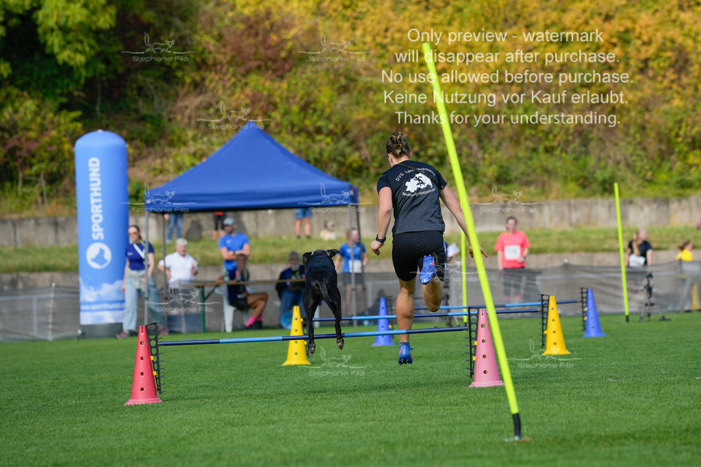 Samstag_Hürden (1182a von 1617) | stephaniefillaphotographie - Realisiert mit Pictrs.com