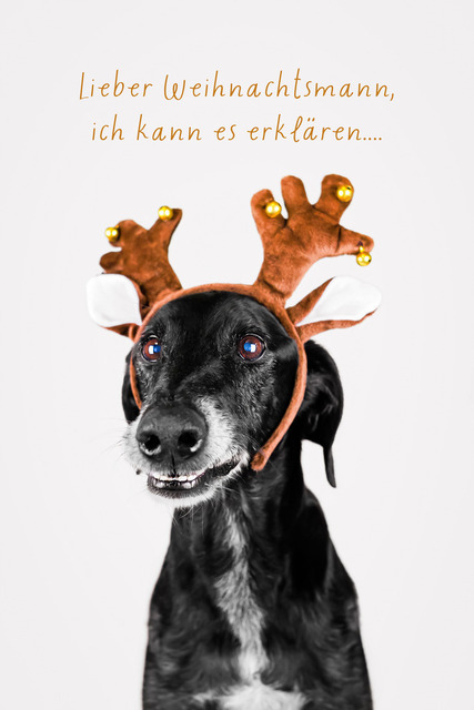 Luke kann es erklären | "Lieber Weihnachtsmann, ich kann es erklären..."