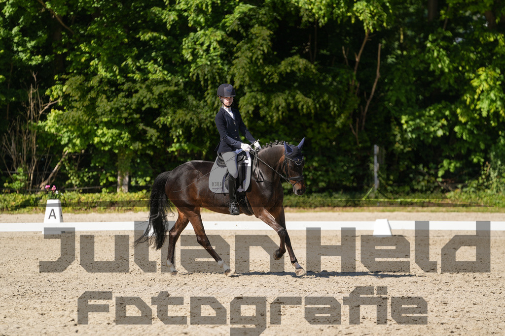 DSC00681 | Julian Held Fotografie - Realisiert mit Pictrs.com