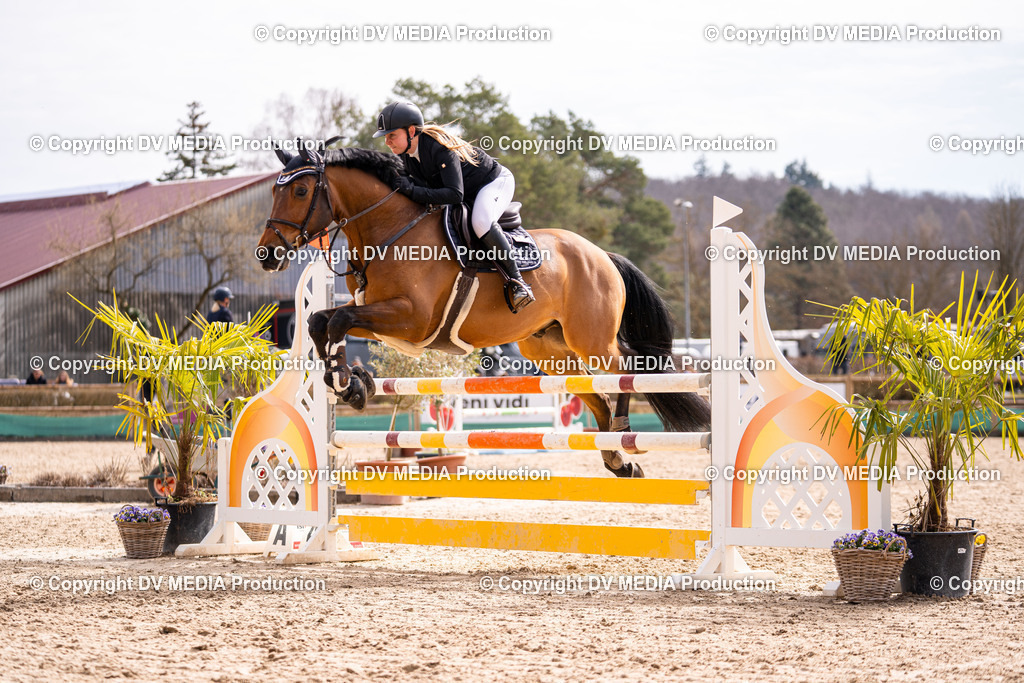 Kranichstein Tag 2-552 | dv-media-shop - Realisiert mit Pictrs.com