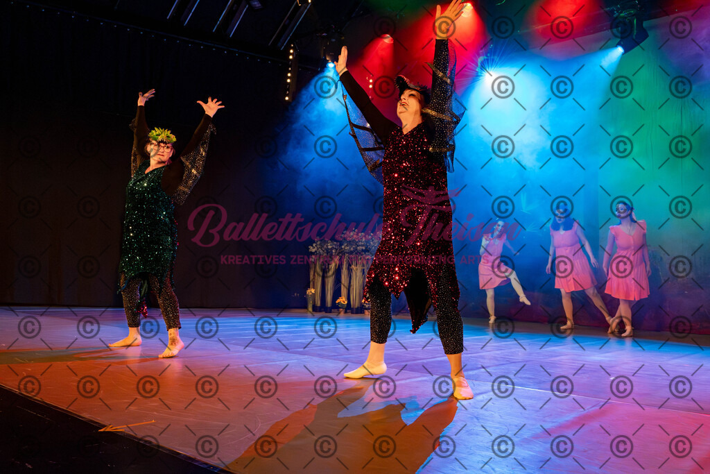 Ballettaufführung-246 | Bildershop Lem'n Entertainment - Realisiert mit Pictrs.com