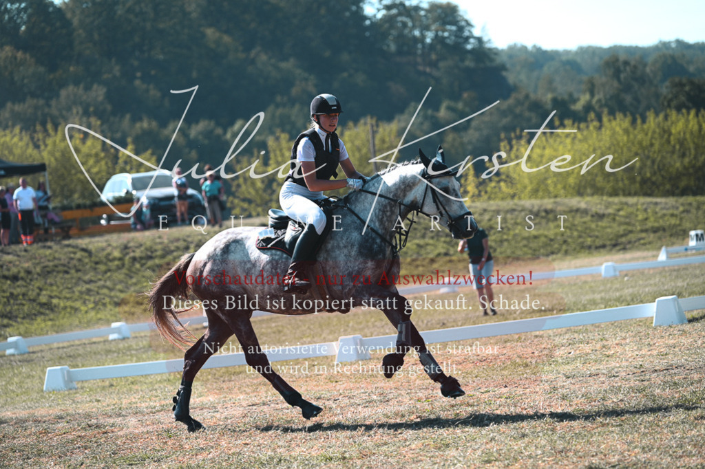 DSC_7838 | Pferde- und Turnierfotografie in Westsachsen. Pferdeportraits, Auftragszeichnungen und intuitive Kunst.
