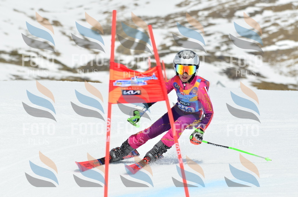 _ELE2627 | holidayphoto