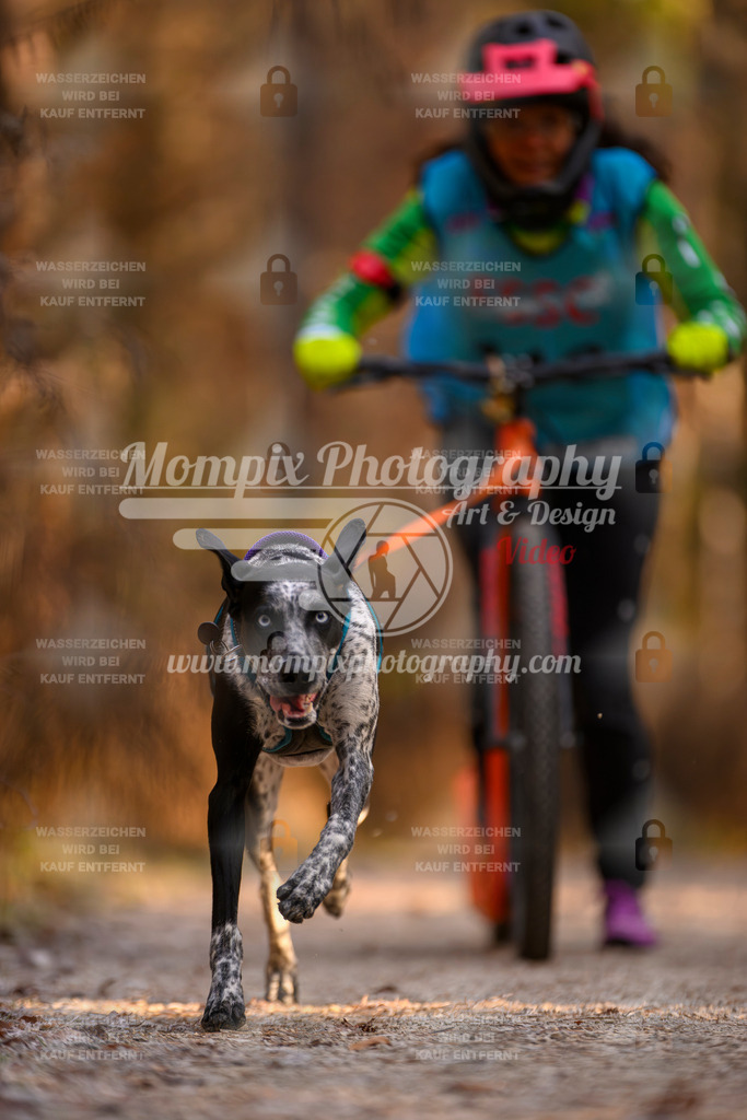 MompixPhotography_DM_AKDM_SO_2025_Scooter-212 | PayLife