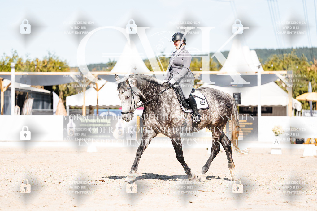 CK908254 | Turnierfotografie Pferdefotografie Trier Rheinland-Pfalz Pferdesport Reitsport Tierfotografie Sportfotografie Pferdevideo Pferdevideografie Equestrianvideography equestrianphotography  - Realisiert mit Pictrs.com