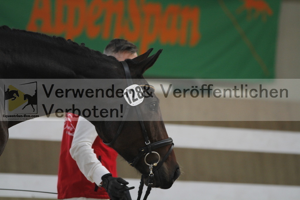 _MG_9797 | equestrian-live-com