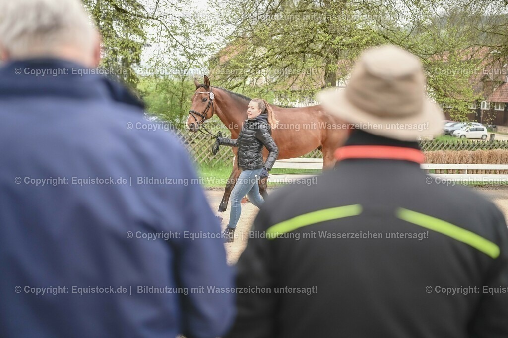 20230514_Impressionen_0126 | equistock