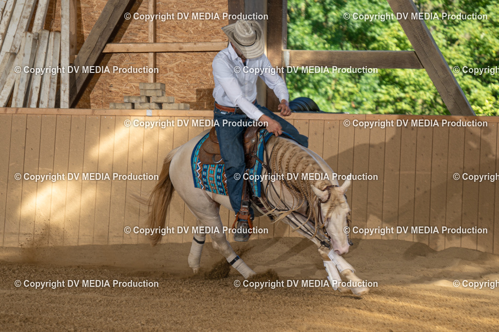 DSC00481 | dv-media-shop - Realisiert mit Pictrs.com