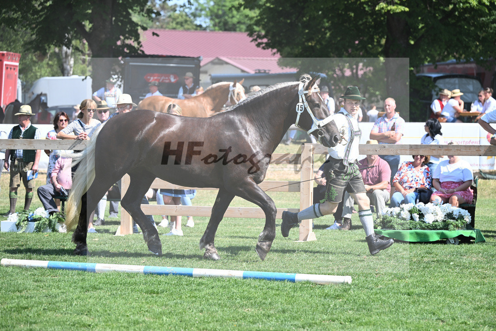 Kat-Nr. 15 Mirabell_Mayr_20230235 | hf-fotografie - Realisiert mit Pictrs.com