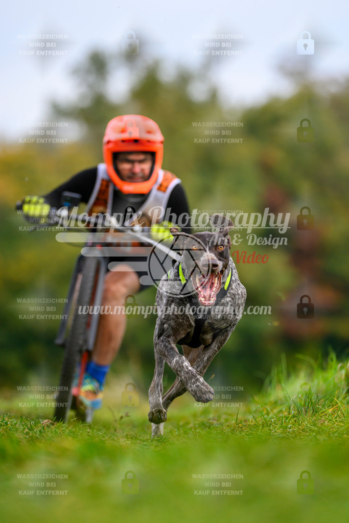 MompixPhotography_CDLBDB2025_DI_DS-45 | PayLife