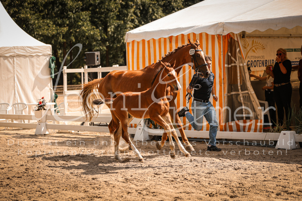 07.DoWBS00132 | Leoni Ertmer Photography - Realisiert mit Pictrs.com