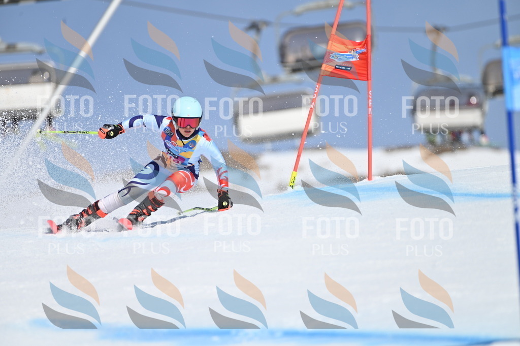 BGV_9782 | holidayphoto