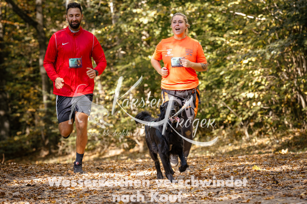 1245_ZZ96003 | kk-dogfotos