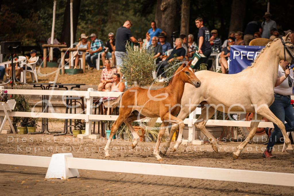 SaPA00083 | Leoni Ertmer Photography - Realisiert mit Pictrs.com