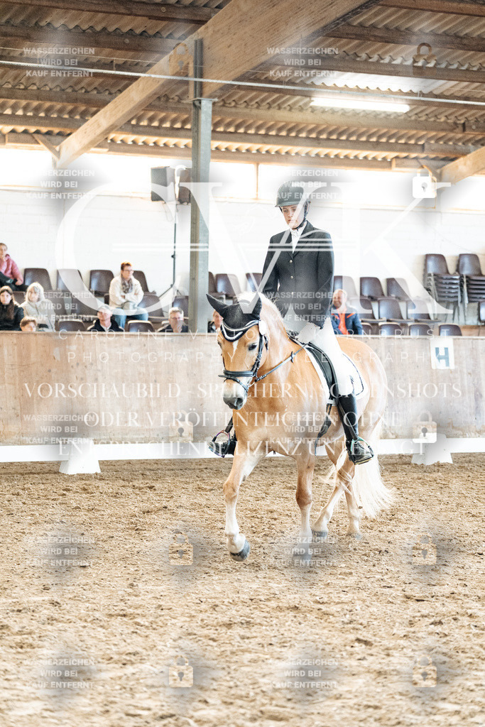 CK909990 | Turnierfotografie Pferdefotografie Trier Rheinland-Pfalz Pferdesport Reitsport Tierfotografie Sportfotografie Pferdevideo Pferdevideografie Equestrianvideography equestrianphotography  - Realized with Pictrs.com