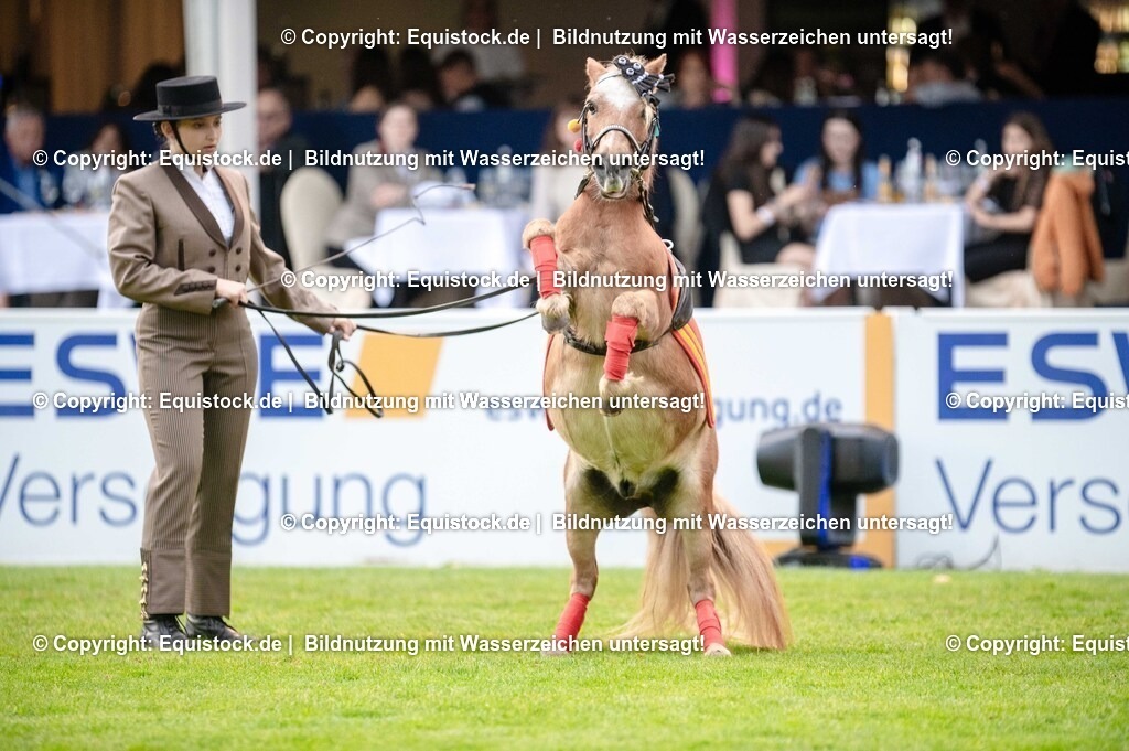 20250606_Lange-Pferdenacht_0643 | Foto: Thomas Hartig