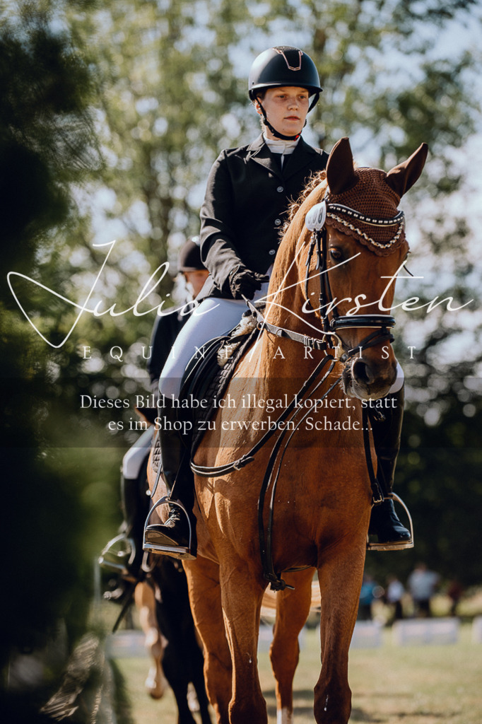 DSC_7238 | Pferde- und Turnierfotografie in Westsachsen. Pferdeportraits, Auftragszeichnungen und intuitive Kunst.