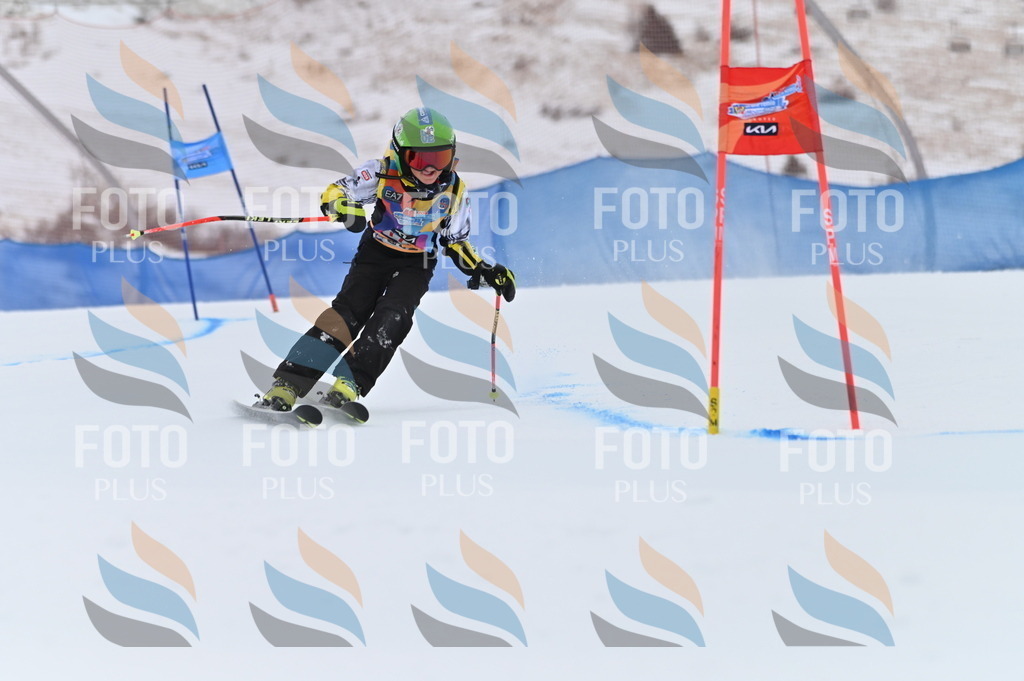 BGV_0583 | holidayphoto