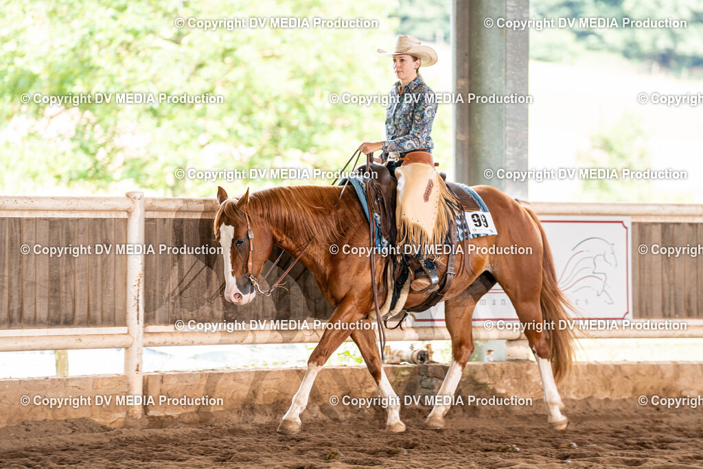 Erbach Tag 1-735 | dv-media-shop - Realisiert mit Pictrs.com