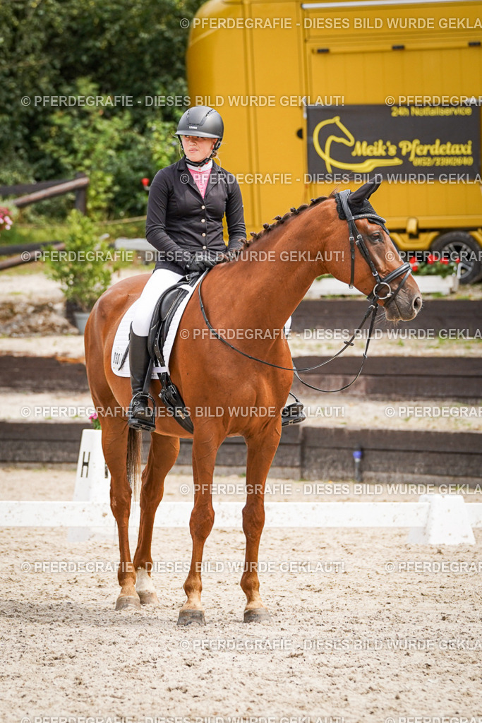 DSC04535 | Pferdegrafie