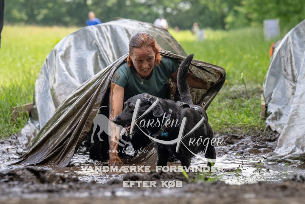 1147_ZZ94545 | kk-dogfotos