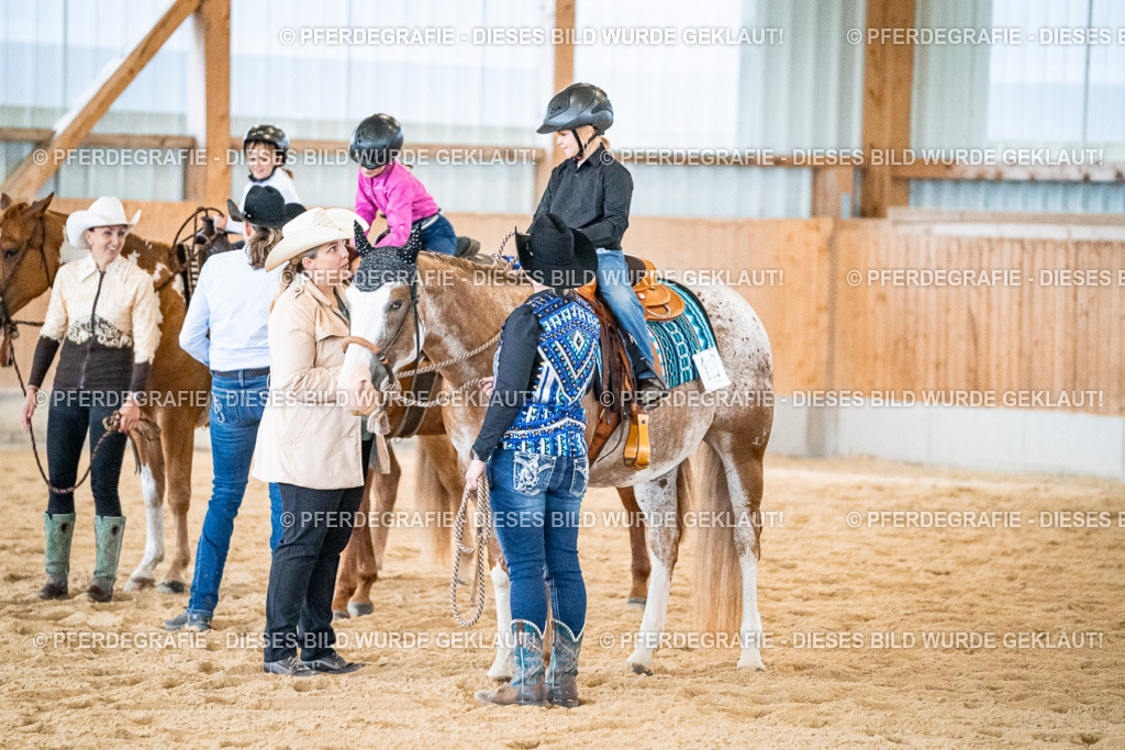 DSC00967 | Pferdegrafie