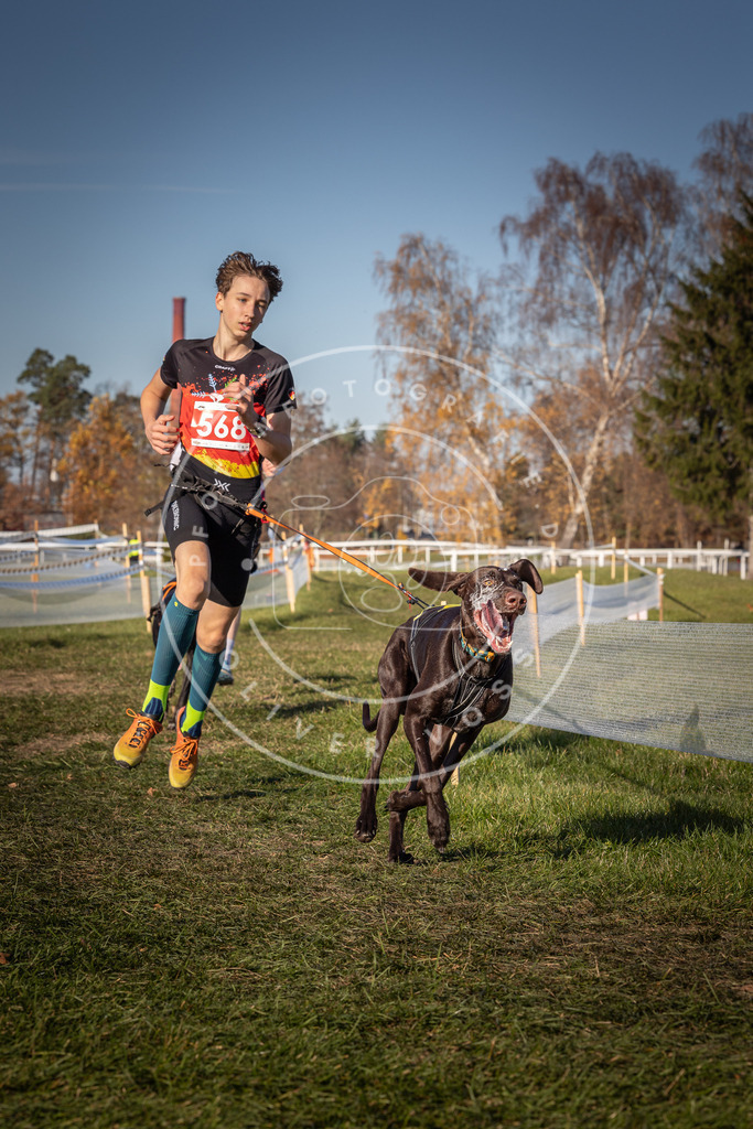 CaniXpix_0L8A7996 | Hundefotografie, Tierfotograf, Pfotenfotografie, Fotoshooting Hund, Hunde Portrait, Hundesport, Hundeportraits, Heideshooting, Hunde, Sportfotograf, Hundefotograf, Turnierhundsport, THS,  - Realisiert mit Pictrs.com