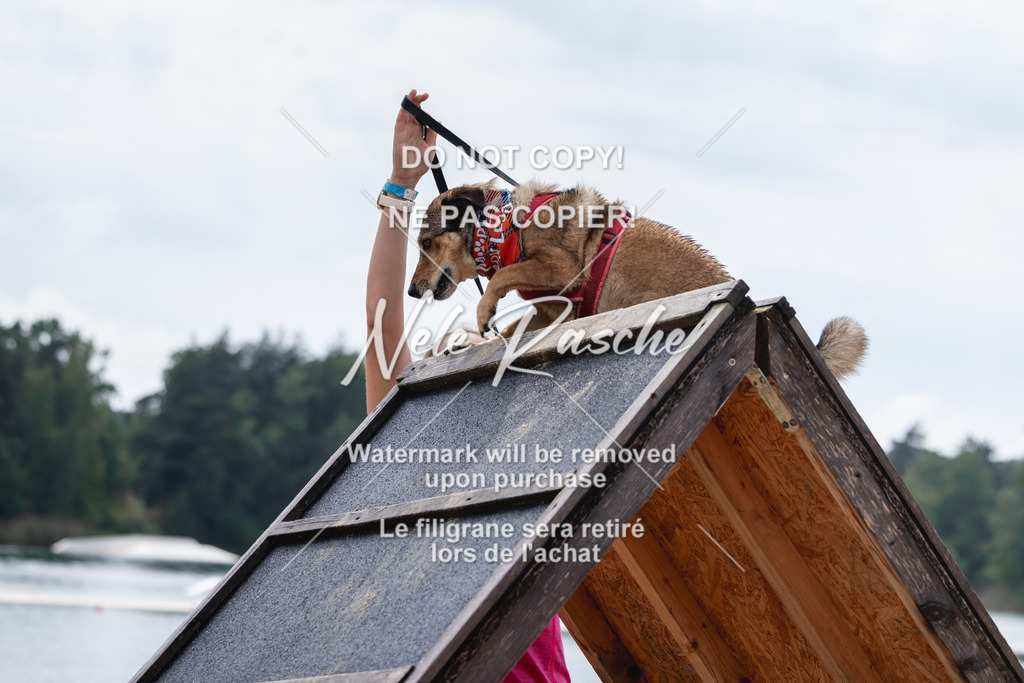 nelerasche_BuHu2026_So1530-Ende_22 | nelerasche