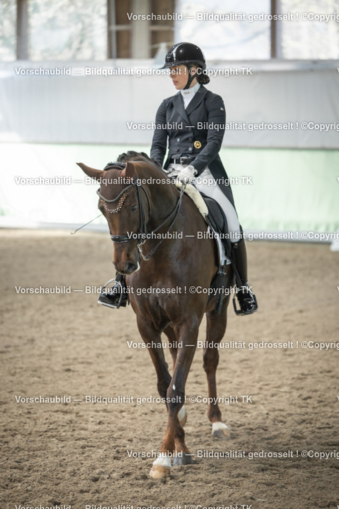 _D5A4907 | Emotionale Pferde- & People-Fotografie rund um Heidelberg, Leimen & Umgebung. Natürliche Fotos von Pferd, Mensch & Familie. Jetzt Termin sichern!