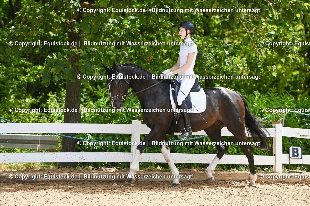 20230716_03_Dressurprfg. Kl.L - Tr._0007 | equistock