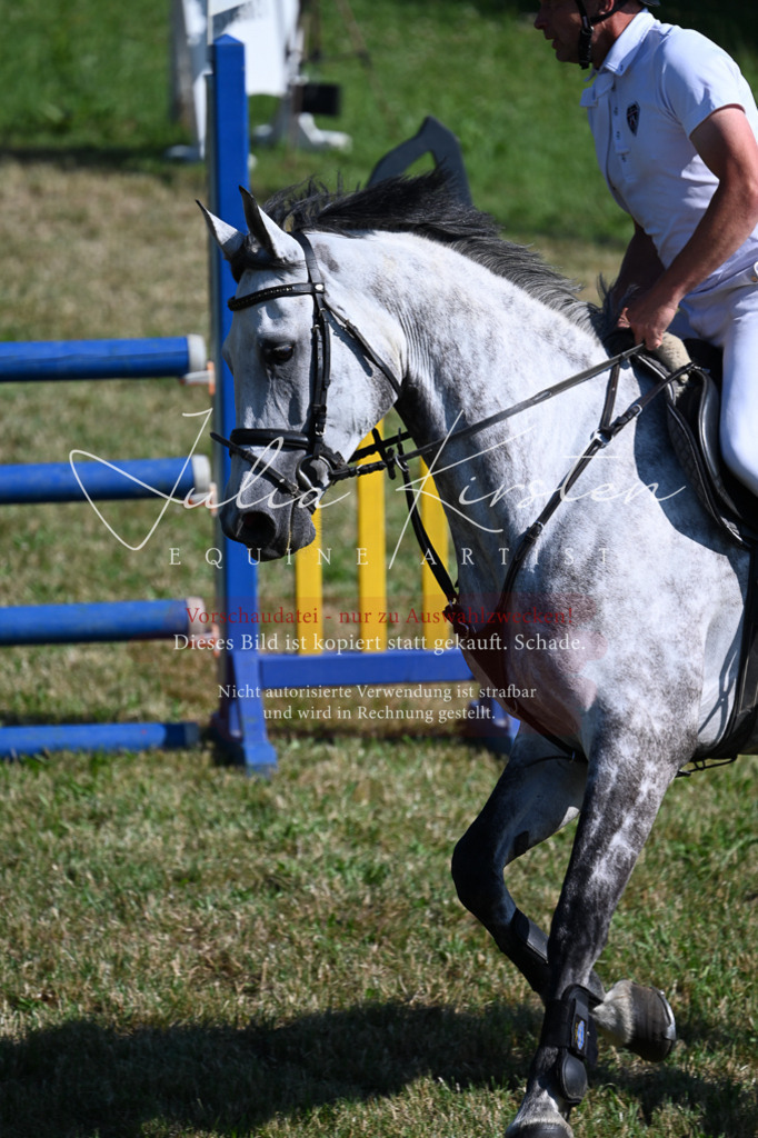 DSC_2241 | Pferde- und Turnierfotografie in Westsachsen. Pferdeportraits, Auftragszeichnungen und intuitive Kunst.
