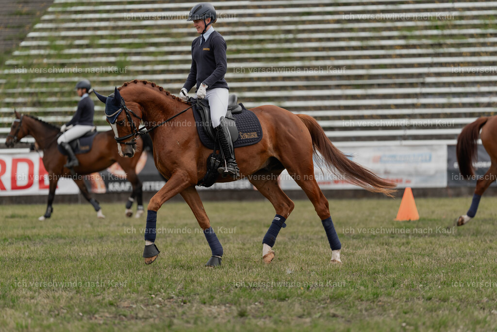 Showprogramm-76 | working equitationturnier fotograf videograf stoibphotography marixx film working equitation deutschland reitsport turnierfotografie eventfotografie equestrian events
