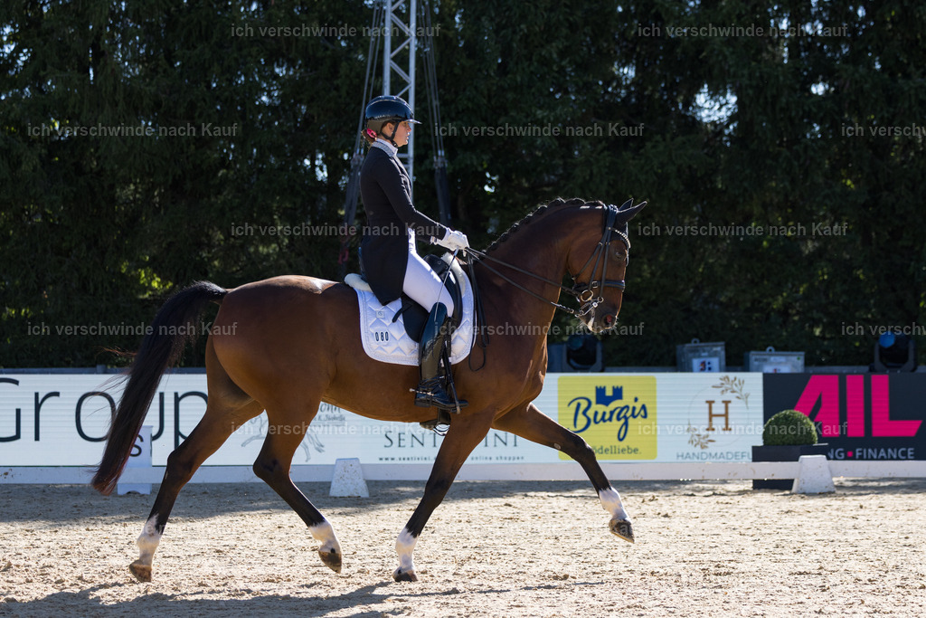 FHC2026_P07_80_17349 | working equitationturnier fotograf videograf stoibphotography marixx film working equitation deutschland reitsport turnierfotografie eventfotografie equestrian events