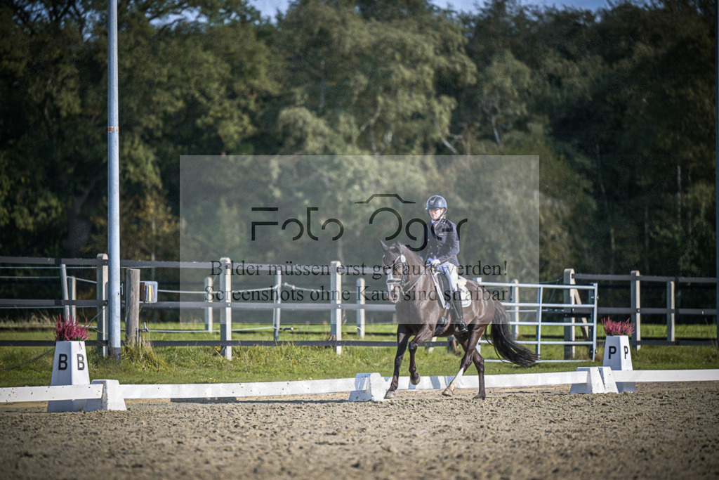DOS_3293 | Entdecke hochwertige Reitturnierfotos von Foto Oger. Professionell, emotional und authentisch – jetzt Lieblingsmomente im Shop bestellen.Deutschlandweite Turnierfotografie. - Realisiert mit Pictrs.com