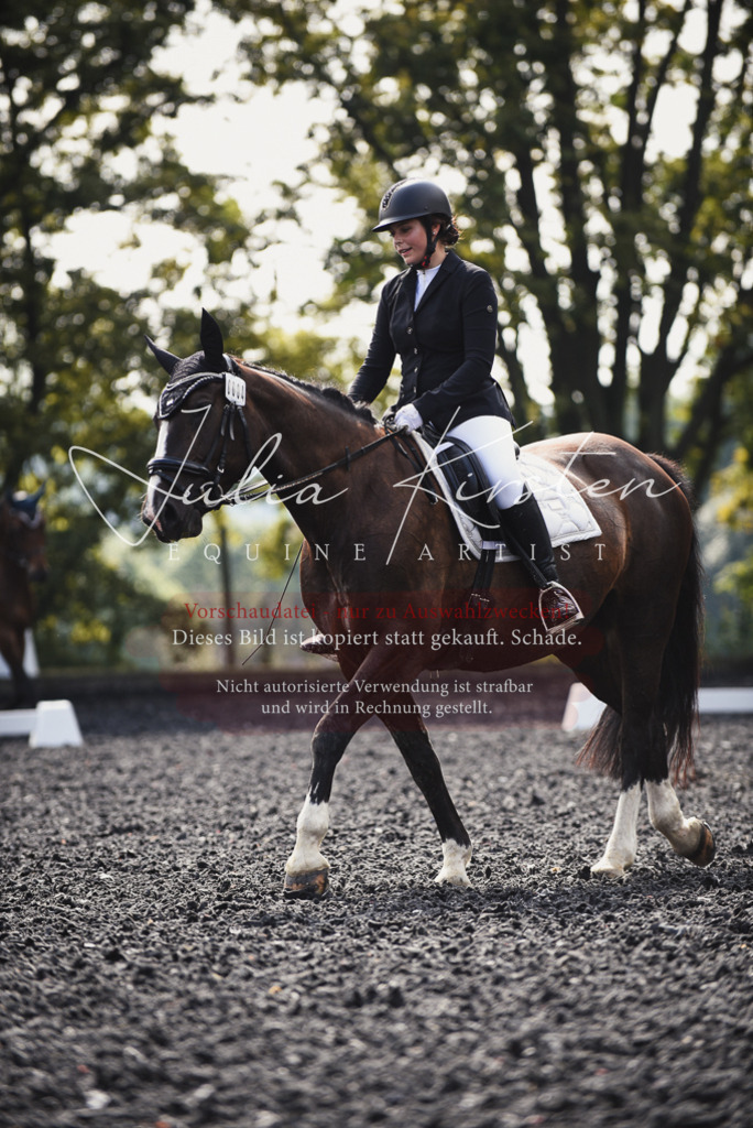 DSC_3652 | Pferde- und Turnierfotografie in Westsachsen. Pferdeportraits, Auftragszeichnungen und intuitive Kunst.