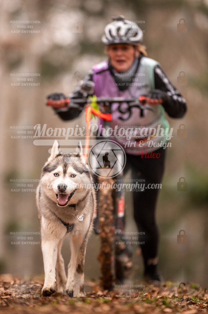 AKM_ST_2023_SAM_Scooter-97 | PayLife