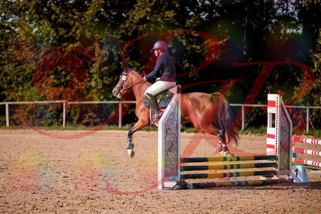 2026_10_03_Siefer-Hof_155314_Z81_72641330 | Professionelle Reitsport-, Turnier- und Eventfotografie von Robert Broda. Galerien mit ausgewählten und bearbeiteten Bildern direkt online ansehen und bestellen.